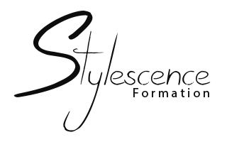 Logo Stylescense Formation